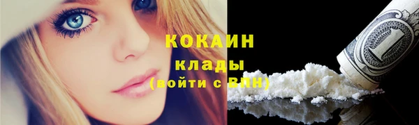 дживик Абаза