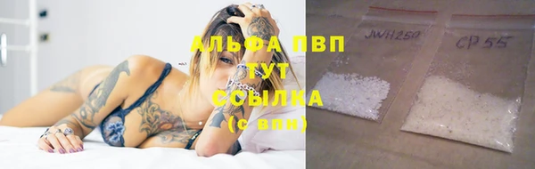 дживик Абаза