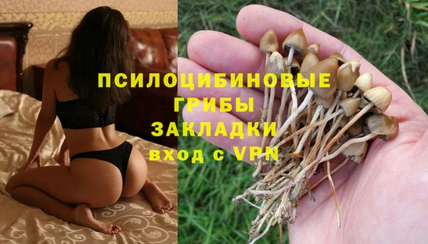 дживик Абаза
