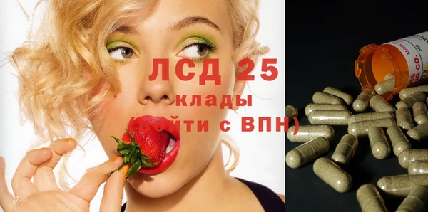 дживик Абаза