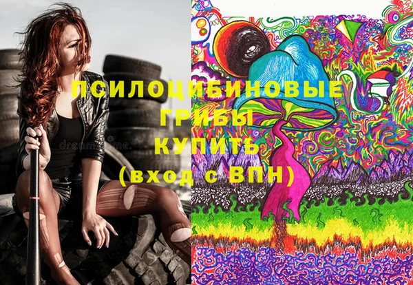 дживик Абаза
