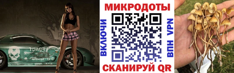 Псилоцибиновые грибы мухоморы  кракен маркетплейс  Чита 