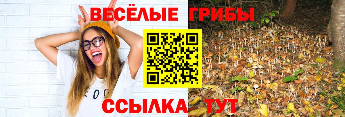 Гашиш Чита