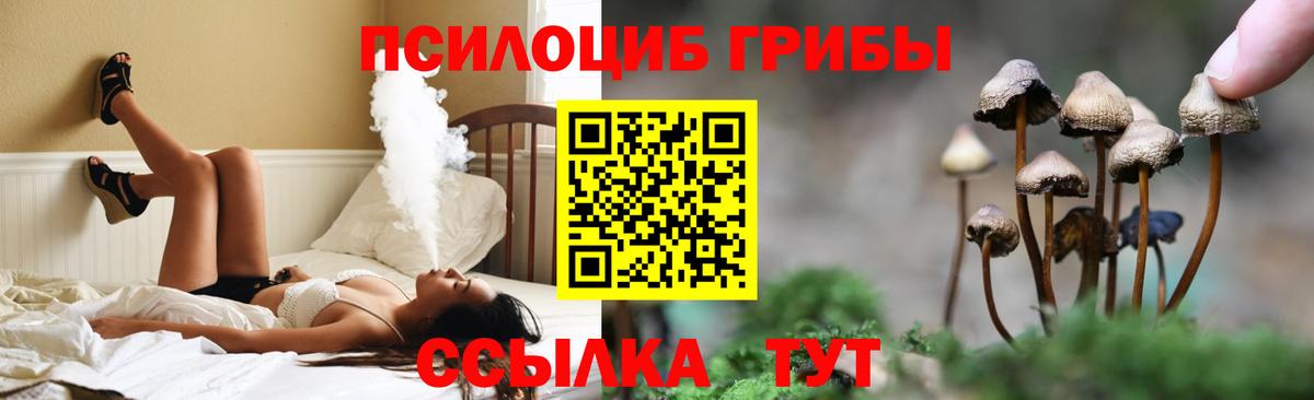 Галлюциногенные грибы MAGIC MUSHROOMS  Вход с VPN  Чита 